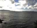 ./images/koeye/fitz-hugh/20141030/fitz-hugh20141030_151001.jpg