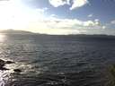 ./images/koeye/fitz-hugh/20141030/fitz-hugh20141030_152501.jpg