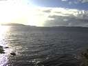 ./images/koeye/fitz-hugh/20141030/fitz-hugh20141030_154502.jpg