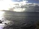 ./images/koeye/fitz-hugh/20141030/fitz-hugh20141030_155002.jpg