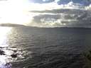 ./images/koeye/fitz-hugh/20141030/fitz-hugh20141030_155503.jpg