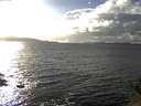./images/koeye/fitz-hugh/20141030/fitz-hugh20141030_160503.jpg