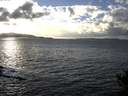 ./images/koeye/fitz-hugh/20141030/fitz-hugh20141030_162002.jpg