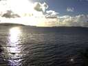 ./images/koeye/fitz-hugh/20141030/fitz-hugh20141030_164002.jpg