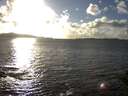 ./images/koeye/fitz-hugh/20141030/fitz-hugh20141030_164502.jpg