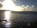 ./images/koeye/fitz-hugh/20141030/fitz-hugh20141030_165003.jpg