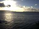 ./images/koeye/fitz-hugh/20141030/fitz-hugh20141030_165502.jpg