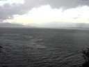 ./images/koeye/fitz-hugh/20141030/fitz-hugh20141030_180502.jpg
