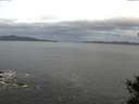 ./images/koeye/fitz-hugh/20141031/fitz-hugh20141031_090502.jpg