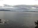 ./images/koeye/fitz-hugh/20141031/fitz-hugh20141031_091503.jpg