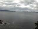 ./images/koeye/fitz-hugh/20141031/fitz-hugh20141031_094003.jpg