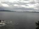 ./images/koeye/fitz-hugh/20141031/fitz-hugh20141031_094503.jpg