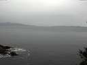 ./images/koeye/fitz-hugh/20141031/fitz-hugh20141031_104502.jpg