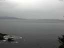./images/koeye/fitz-hugh/20141031/fitz-hugh20141031_105001.jpg