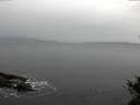./images/koeye/fitz-hugh/20141031/fitz-hugh20141031_110502.jpg
