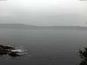 ./images/koeye/fitz-hugh/20141031/fitz-hugh20141031_111501.jpg