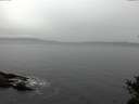 ./images/koeye/fitz-hugh/20141031/fitz-hugh20141031_112002.jpg