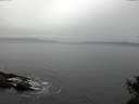 ./images/koeye/fitz-hugh/20141031/fitz-hugh20141031_112501.jpg