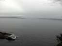 ./images/koeye/fitz-hugh/20141031/fitz-hugh20141031_114002.jpg