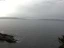 ./images/koeye/fitz-hugh/20141031/fitz-hugh20141031_120002.jpg