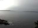 ./images/koeye/fitz-hugh/20141031/fitz-hugh20141031_120502.jpg