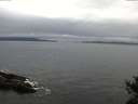 ./images/koeye/fitz-hugh/20141031/fitz-hugh20141031_122503.jpg