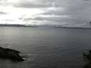 ./images/koeye/fitz-hugh/20141031/fitz-hugh20141031_134001.jpg