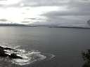 ./images/koeye/fitz-hugh/20141031/fitz-hugh20141031_134501.jpg