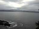 ./images/koeye/fitz-hugh/20141031/fitz-hugh20141031_141502.jpg