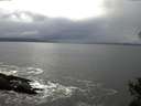 ./images/koeye/fitz-hugh/20141031/fitz-hugh20141031_143503.jpg