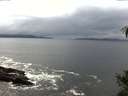 ./images/koeye/fitz-hugh/20141031/fitz-hugh20141031_144002.jpg