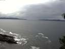 ./images/koeye/fitz-hugh/20141031/fitz-hugh20141031_144502.jpg