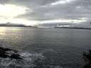./images/koeye/fitz-hugh/20141031/fitz-hugh20141031_154001.jpg