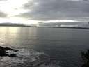 ./images/koeye/fitz-hugh/20141031/fitz-hugh20141031_154501.jpg