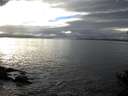 ./images/koeye/fitz-hugh/20141031/fitz-hugh20141031_161002.jpg