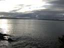 ./images/koeye/fitz-hugh/20141031/fitz-hugh20141031_161503.jpg