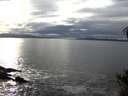 ./images/koeye/fitz-hugh/20141031/fitz-hugh20141031_162003.jpg