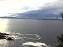 ./images/koeye/fitz-hugh/20141031/fitz-hugh20141031_163503.jpg