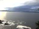 ./images/koeye/fitz-hugh/20141031/fitz-hugh20141031_164003.jpg