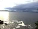 ./images/koeye/fitz-hugh/20141031/fitz-hugh20141031_165003.jpg