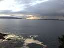 ./images/koeye/fitz-hugh/20141031/fitz-hugh20141031_170503.jpg