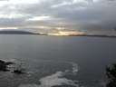 ./images/koeye/fitz-hugh/20141031/fitz-hugh20141031_171002.jpg