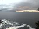 ./images/koeye/fitz-hugh/20141031/fitz-hugh20141031_181002.jpg