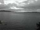 ./images/koeye/fitz-hugh/20141101/fitz-hugh20141101_074502.jpg