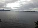 ./images/koeye/fitz-hugh/20141101/fitz-hugh20141101_081502.jpg