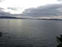 ./images/koeye/fitz-hugh/20141101/fitz-hugh20141101_084501.jpg