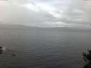 ./images/koeye/fitz-hugh/20141101/fitz-hugh20141101_094001.jpg