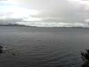 ./images/koeye/fitz-hugh/20141101/fitz-hugh20141101_094503.jpg