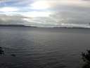 ./images/koeye/fitz-hugh/20141101/fitz-hugh20141101_095502.jpg
