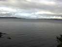 ./images/koeye/fitz-hugh/20141101/fitz-hugh20141101_101503.jpg